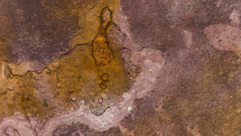 ¿Una nueva placa tectónica? El misterioso fenómeno que se está produciendo en África y cambiaría el mundo
