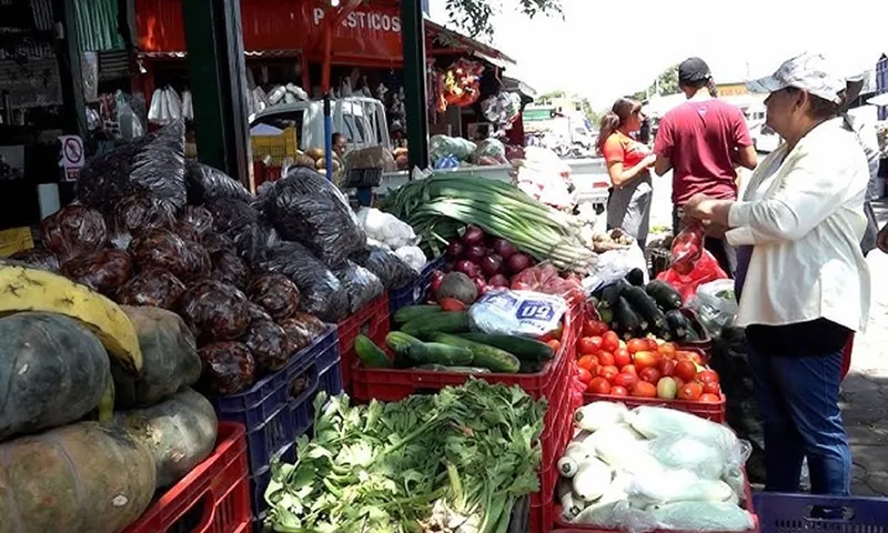 Precios estables de frutas y verduras garantizan alivio económico a las familias
