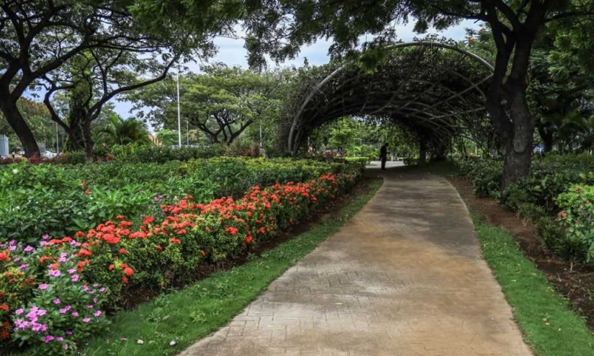 Día de la Mujer será conmemorado con la inauguración del Paseo Edith Grön