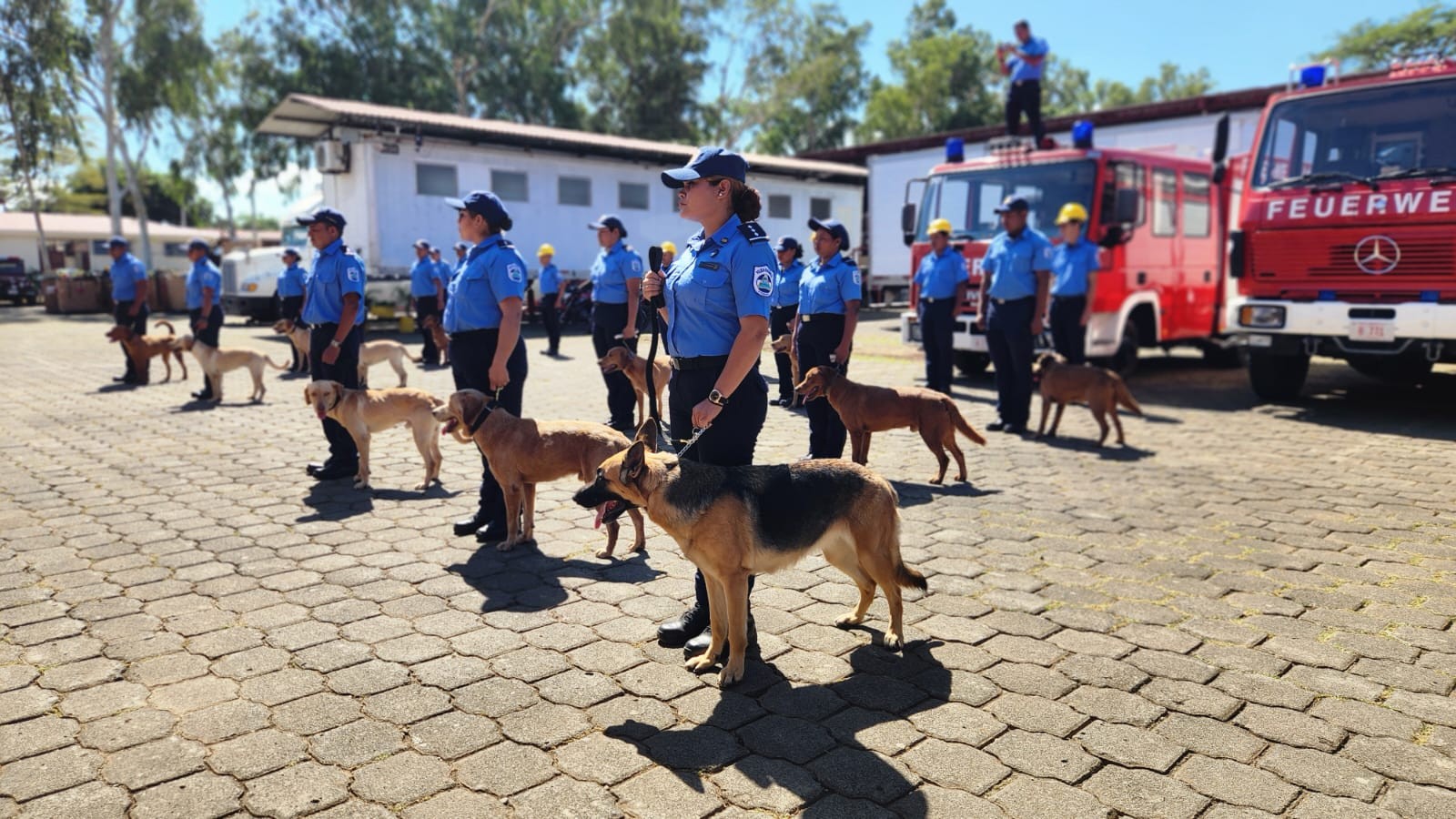 Técnica canina refuerza labores de búsqueda y rescate en Nicaragua