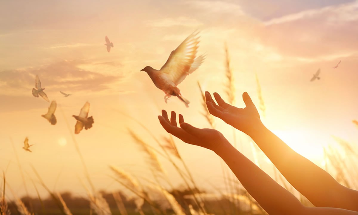 Nicaragua reafirma la paz como fundamento de la vida