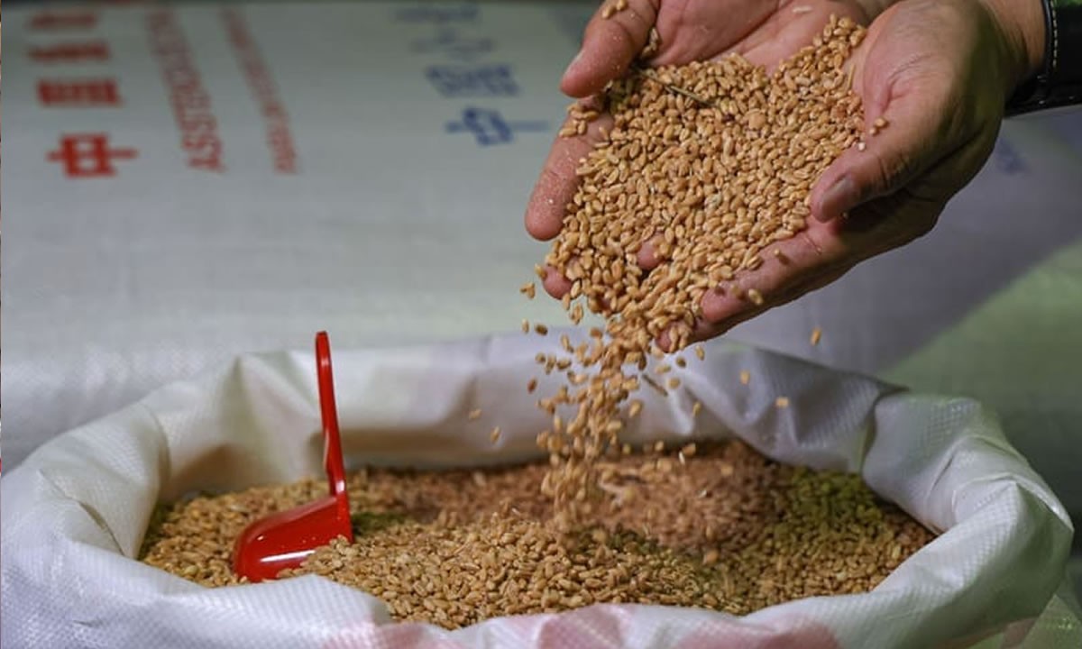 China aporta urea y trigo para fortalecer la seguridad alimentaria en Nicaragua