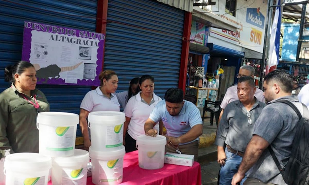 Managua inicia campaña de desratización para prevenir enfermedades