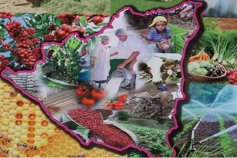 Plan nacional impulsa exportaciones y seguridad alimentaria