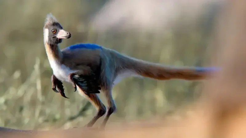 Argentina descubre dinosaurio de 95 millones años que cambia la historia evolutiva de su especie