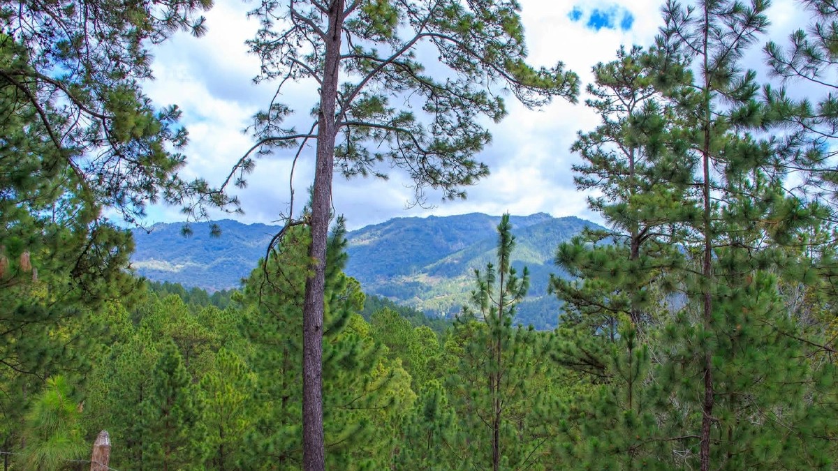 Pronostican calor intenso y vientos moderados en Nicaragua este lunes