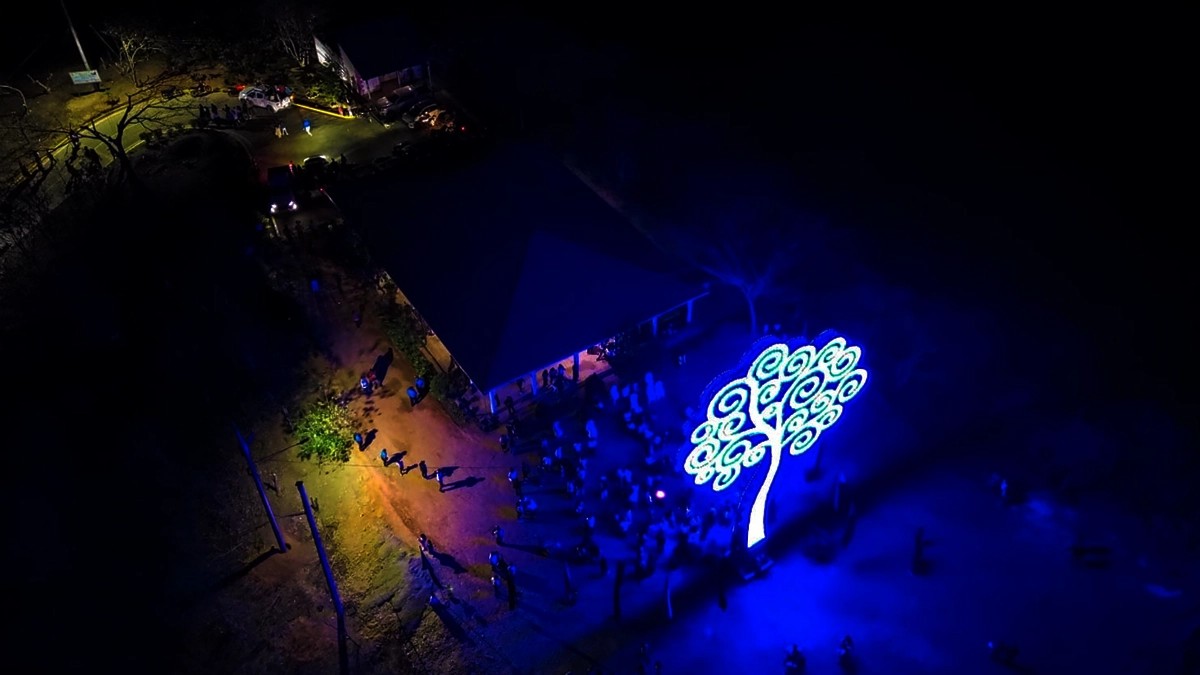 Militancia sandinista inaugura y enciende Árbol de la Vida en Nueva Segovia