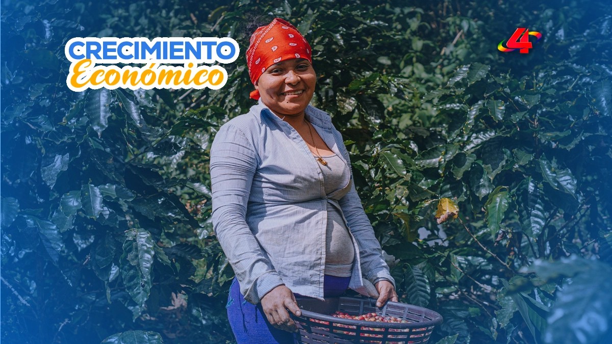 Café impulsa crecimiento económico y empleo en Nicaragua