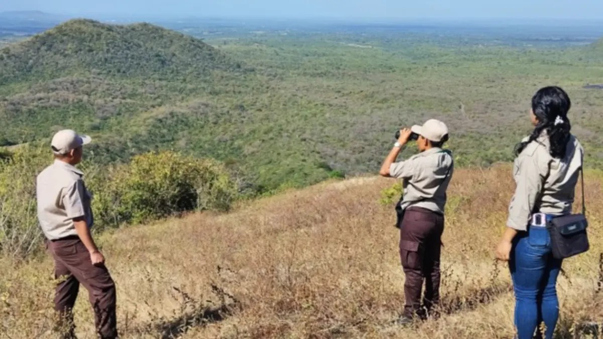Monitoreo ambiental en 76 áreas protegidas refuerza la conservación en Nicaragua