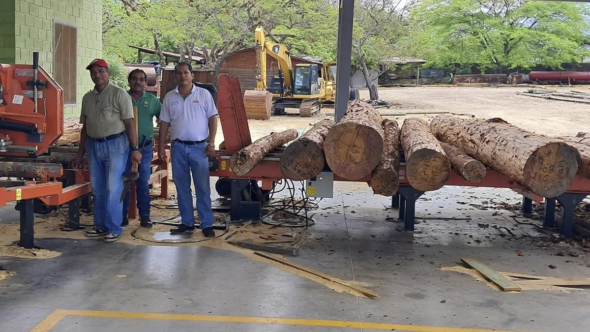 Industria forestal en Ocotal bajo seguimiento para garantizar sostenibilidad en Nicaragua