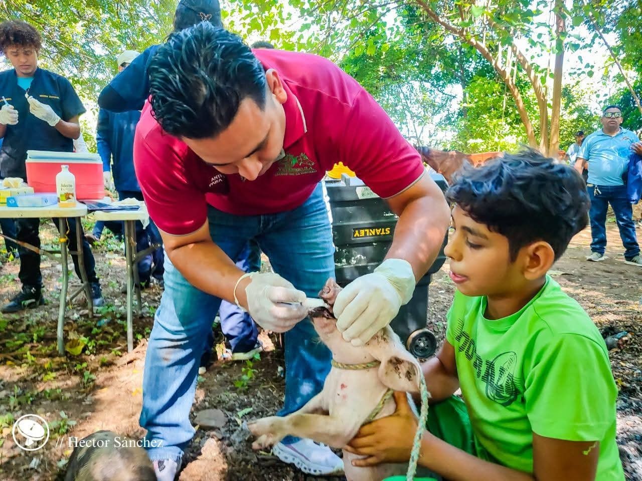 Estudiantes universitarios se unen a jornada de salud animal en Chinandega