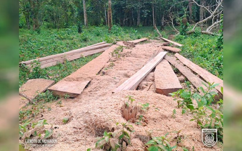 Quinto Comando Militar Regional ocupa madera aserrada ilegalmente