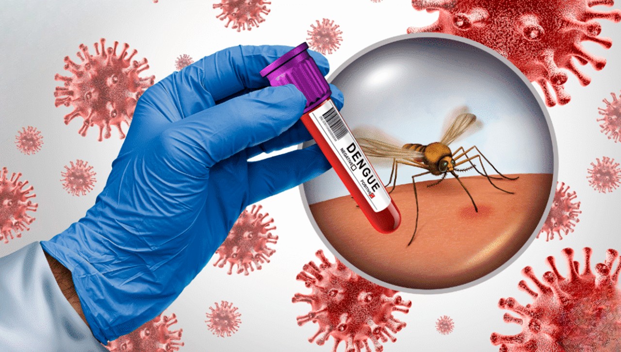 Menos casos de Dengue, Malaria e Influenza