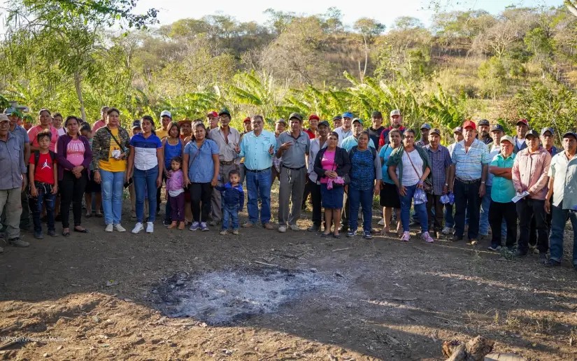 Refuerzan vigilancia sanitaria contra el gusano barrenador