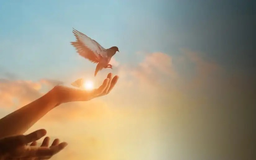 Defender la Paz es un deber Cristiano, Socialista y Solidario