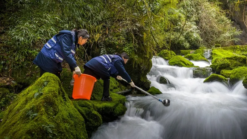Diez años de gestión ambiental: ¿cómo logró China recuperar el aire, el agua y el suelo?