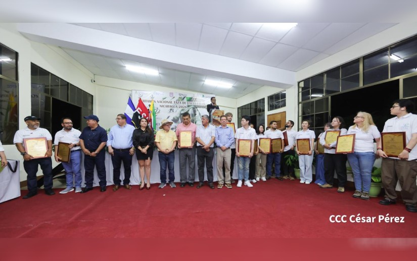 Cafés de Nueva Segovia destacan en la XXII edición de la “Taza de la Excelencia Nicaragua 2026”
