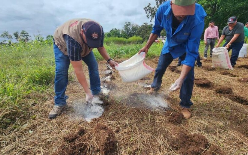 Presentan a productores bioinsumos para el manejo de enfermedades del suelo