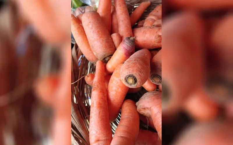 Producción de zanahoria al mes de mayo de 2026