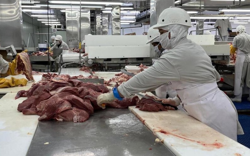Monitoreo del Ministerio Agropecuario destaca alta producción de carne bovina al mes de julio de este año