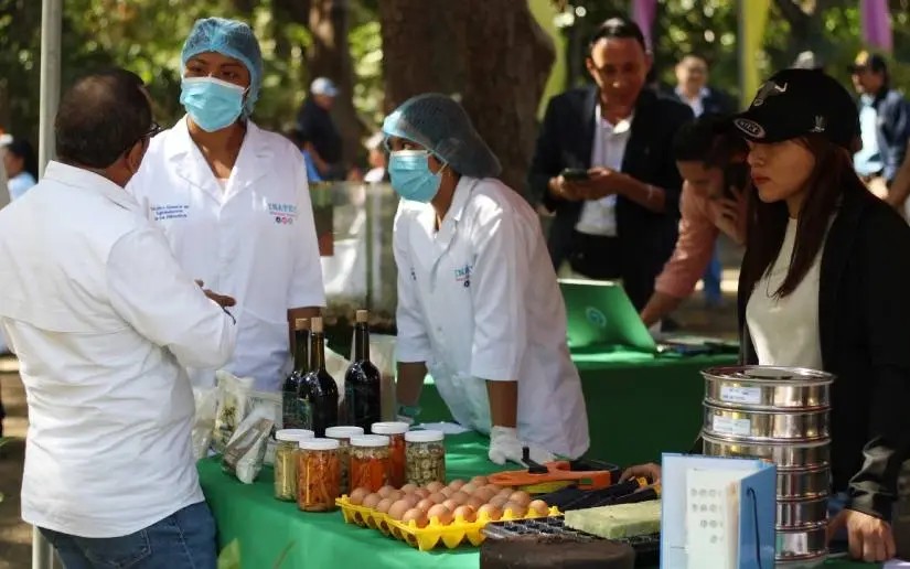 Más victorias educativas en Nicaragua durante el Mes de la Paz