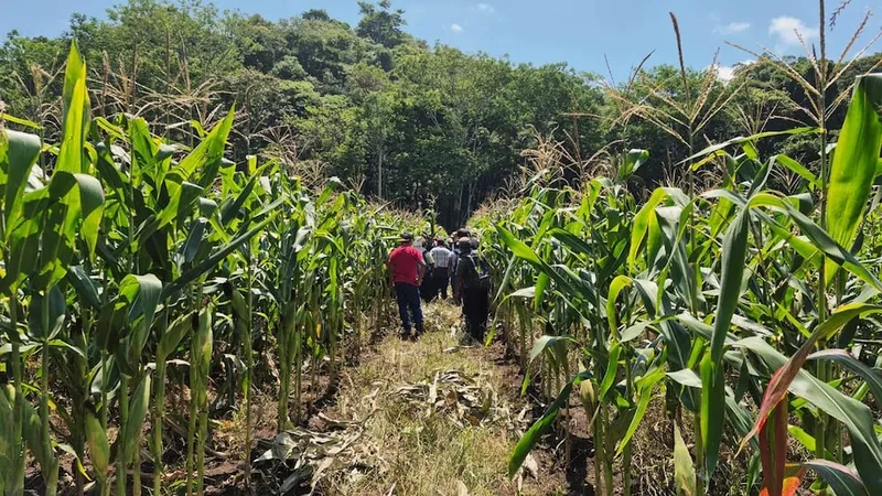 Guatemala mantiene vigilancia en 212 municipios por calor y lluvias intensas