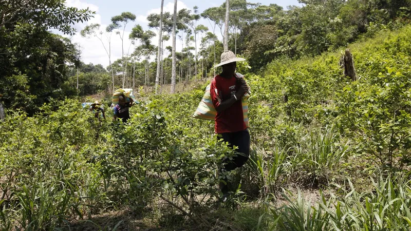 Sequía y El Niño golpearán los cultivos en Asia, alertan especialistas