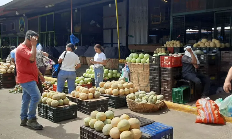 Precios de perecederos y frutas se mantienen en el mercado Mayoreo