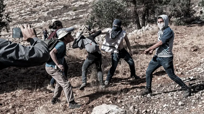 Colonos israelíes roban ganado y destruyen cultivos en Palestina como política de anexión con respaldo militar
