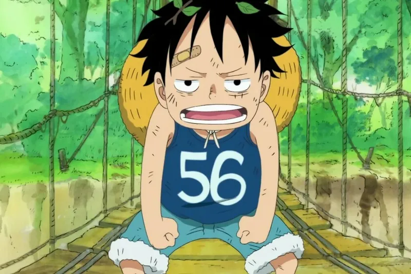 One Piece está lleno de misterios y la madre de Luffy es uno de ellos. Eiichiro Oda ha dejado alguna pista por el camino