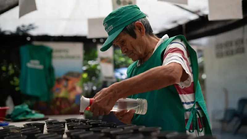 Adultos mayores ya son hasta 15% de la población y piden reglas para trabajar