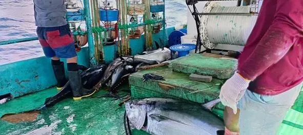 INPESCA monitorea el Pacífico y fortalece pesca sostenible