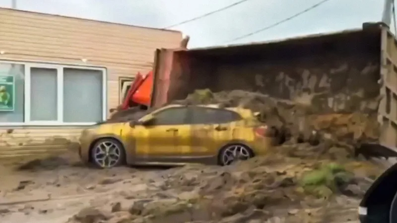 VIDEO: Camión de estiércol vuelca sobre un BMW dorado