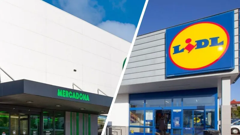 Mercadona o Lidl: Comparación de precios e ingredientes de cinco productos básicos