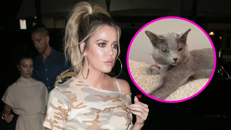 Khloé Kardashian provoca indignación total tras admitir que AMPUTÓ LAS GARRAS de sus gatos
