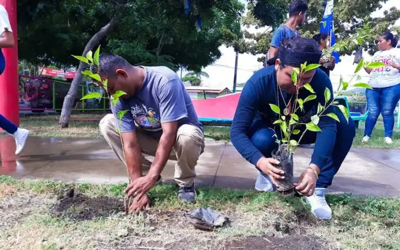 Actividades de Siembra y Adopción de Árboles en Homenaje a Nuestros Héroes y Mártires del Mes de Julio