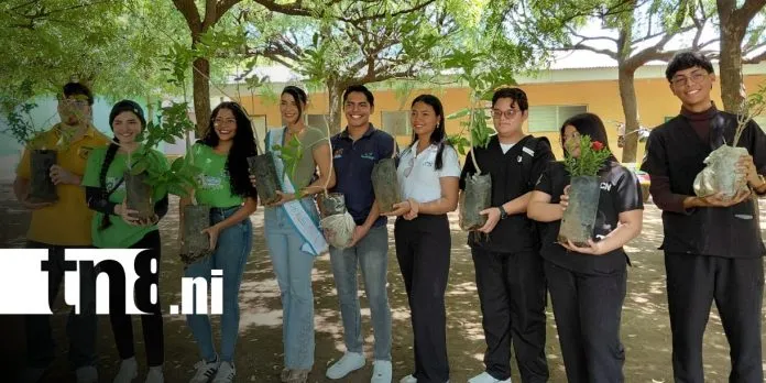 UCN se llena de vida con jornada de reforestación protagonizada por jóvenes