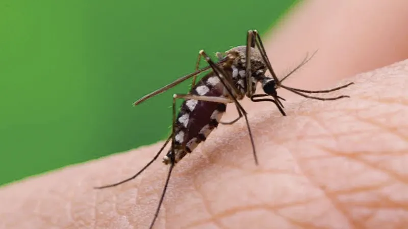Nicaragua reporta menos enfermos por dengue, chikungunya, neumonía e influenza