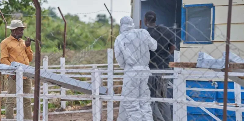 OMS alerta por el avance del ébola en RD del Congo y Uganda