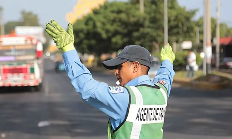 Más de 900 licencias suspendidas en operativos de tránsito