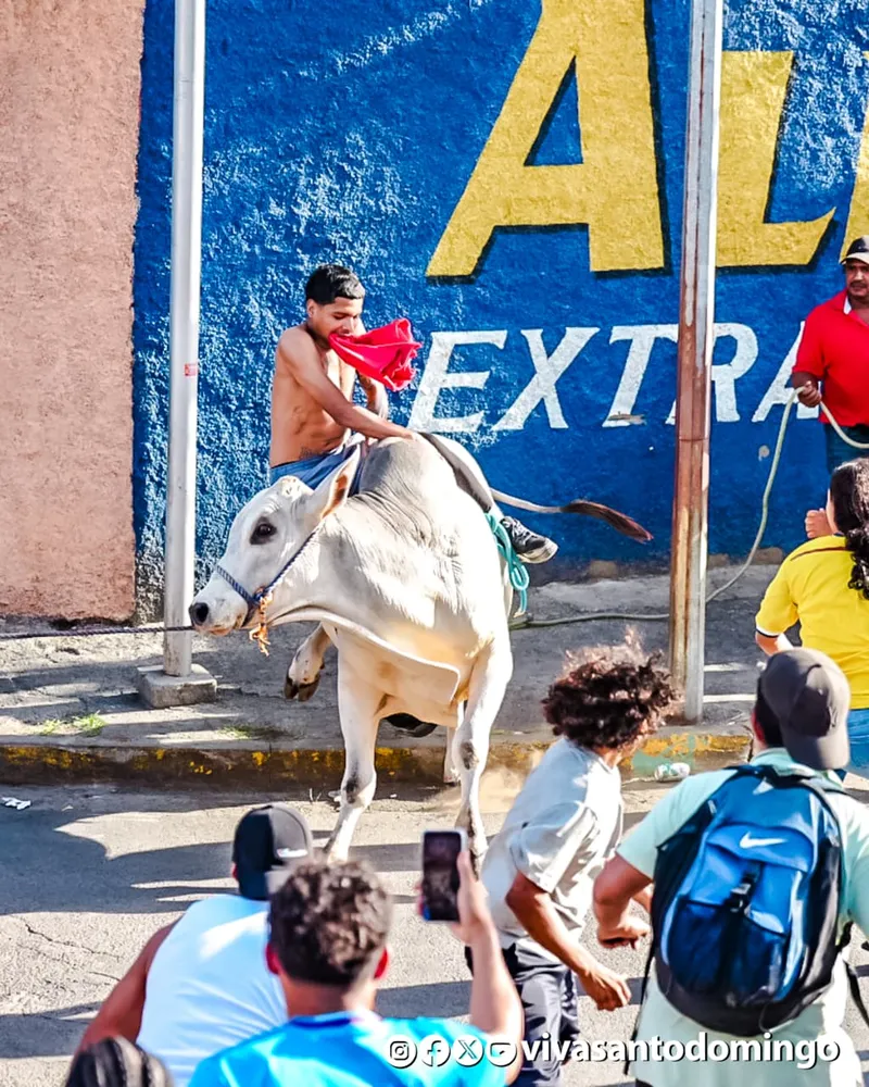 Tradición y algarabía marcan la celebración de las Vacas Culonas