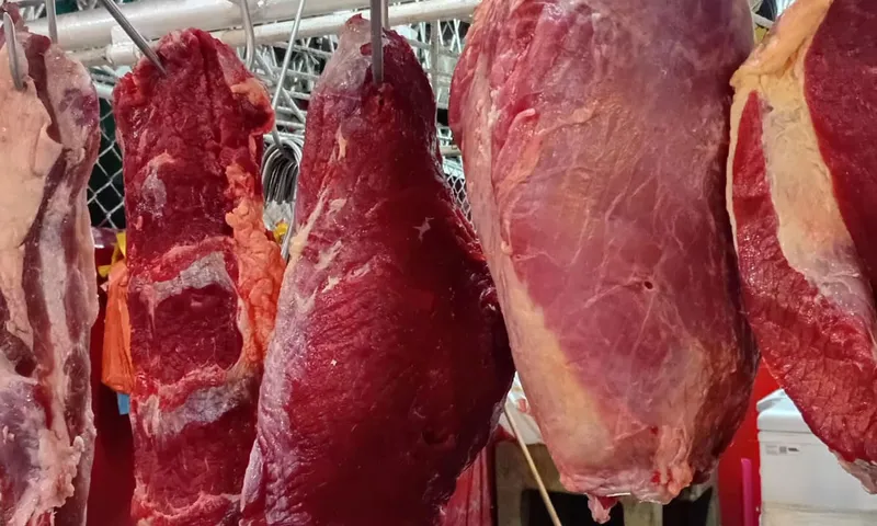 Producción de carne de res garantiza estabilidad en sus precios