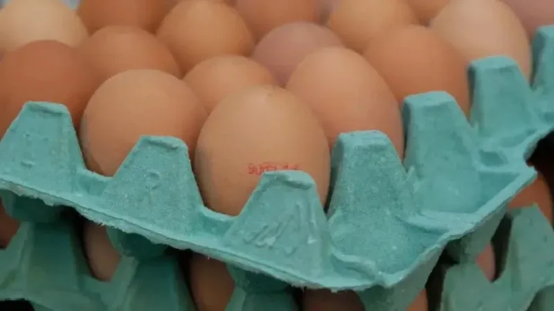 Producción de huevos crece 12% y eleva el consumo per cápita a 200 unidades
