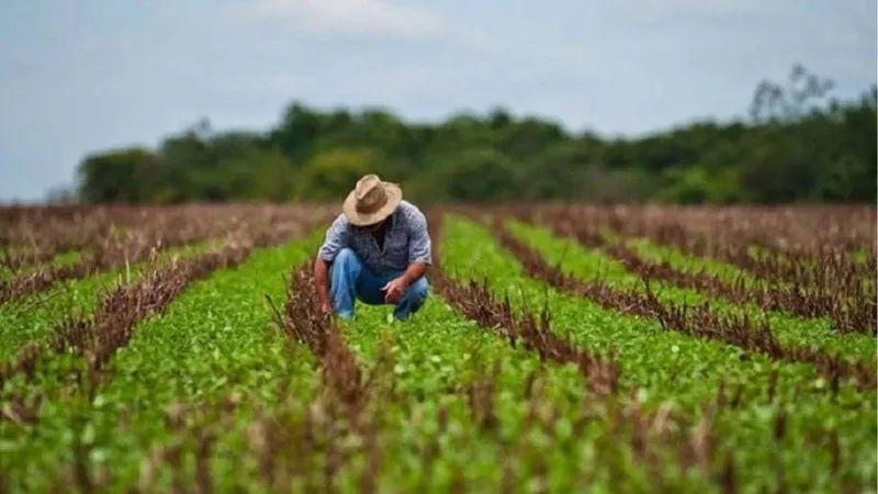 Gremios agropecuarios piden destinar parte de los acuerdos petroleros al rescate del campo