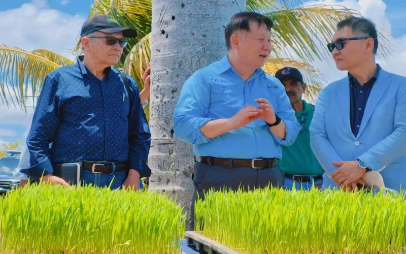 MAG y KOPIA impulsan innovación en Arroz