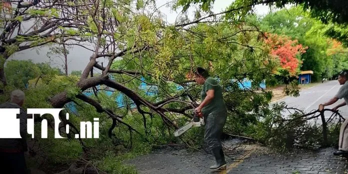 Reporte de Sinapred: estas son las principales incidencias en las últimas 24 horas