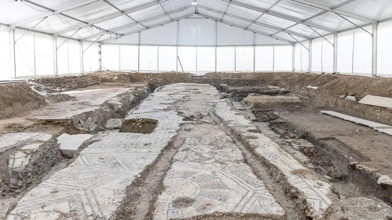 "Una nueva e importante página": insólito hallazgo bajo una antigua pescadería (FOTOS)