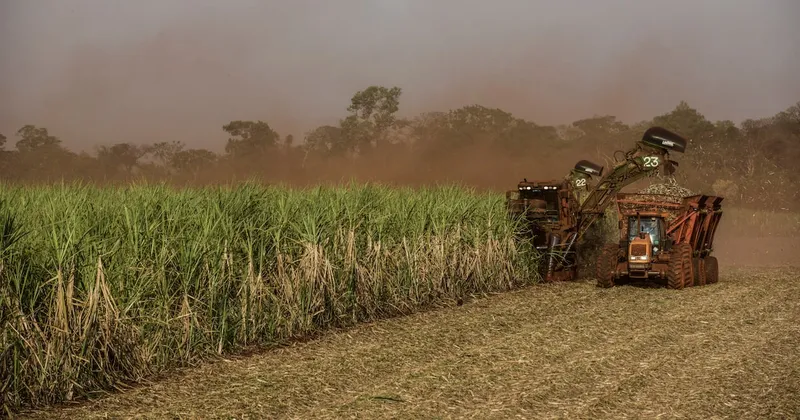 El azúcar sube por expectativas de una menor producción en Brasil