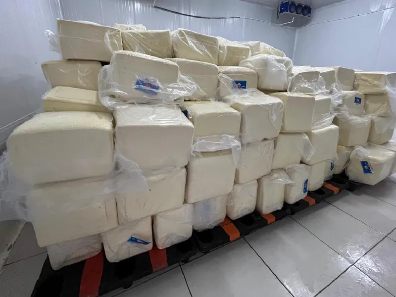 Queso y cuajada en agosto 2026