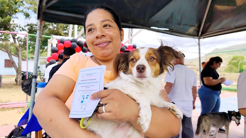 Salud animal y prevención: Nueva Segovia vacuna a miles de mascotas